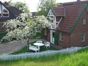 Kaffeezeit zur Blütezeit - so schön kann es sein!